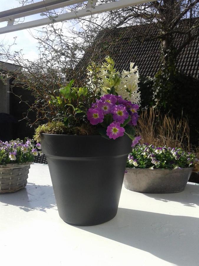 Casa Batavia Bed&Breakfast Lelystad Esterno foto